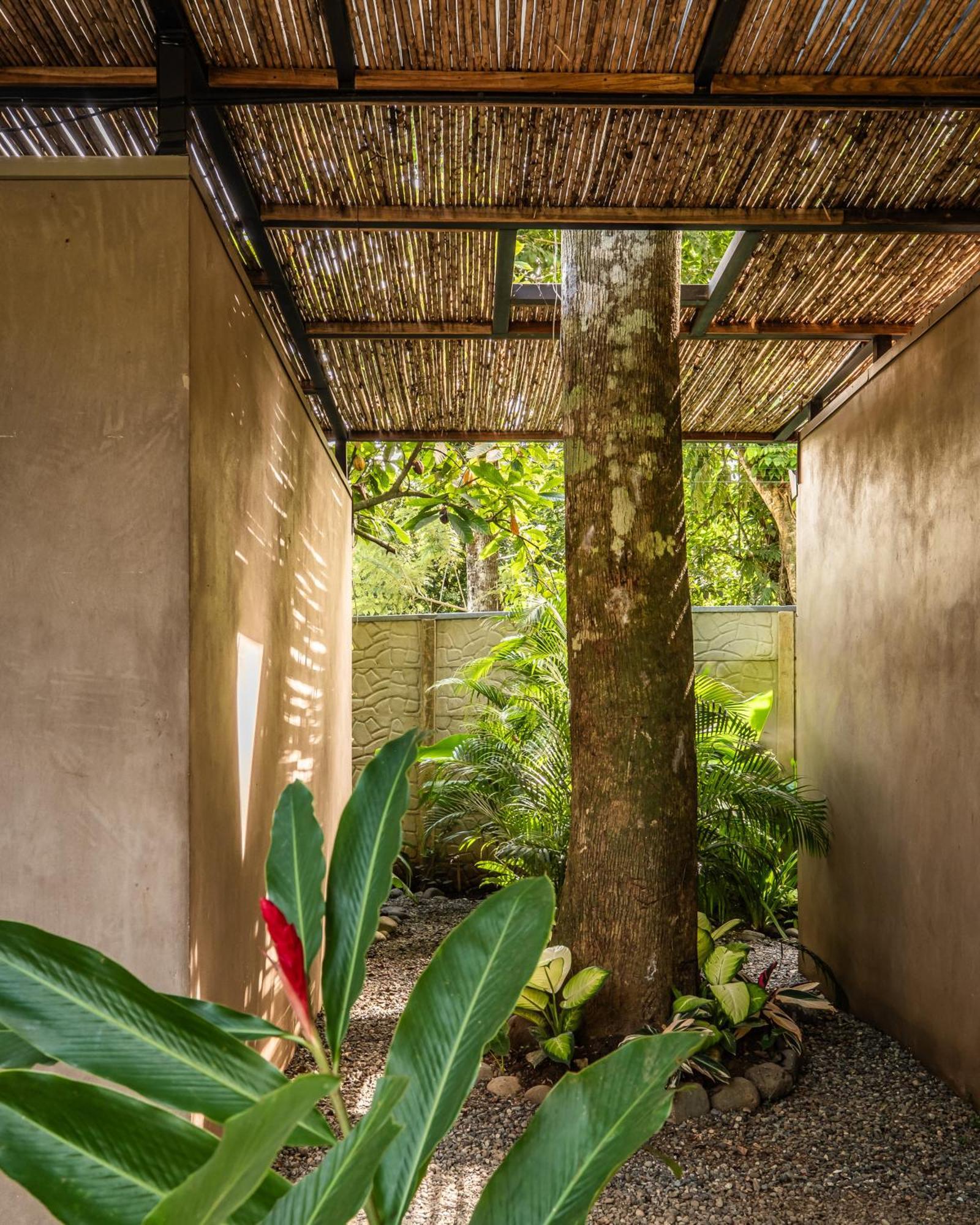 La Bonita Lodge Puerto Viejo de Talamanca Eksteriør bilde