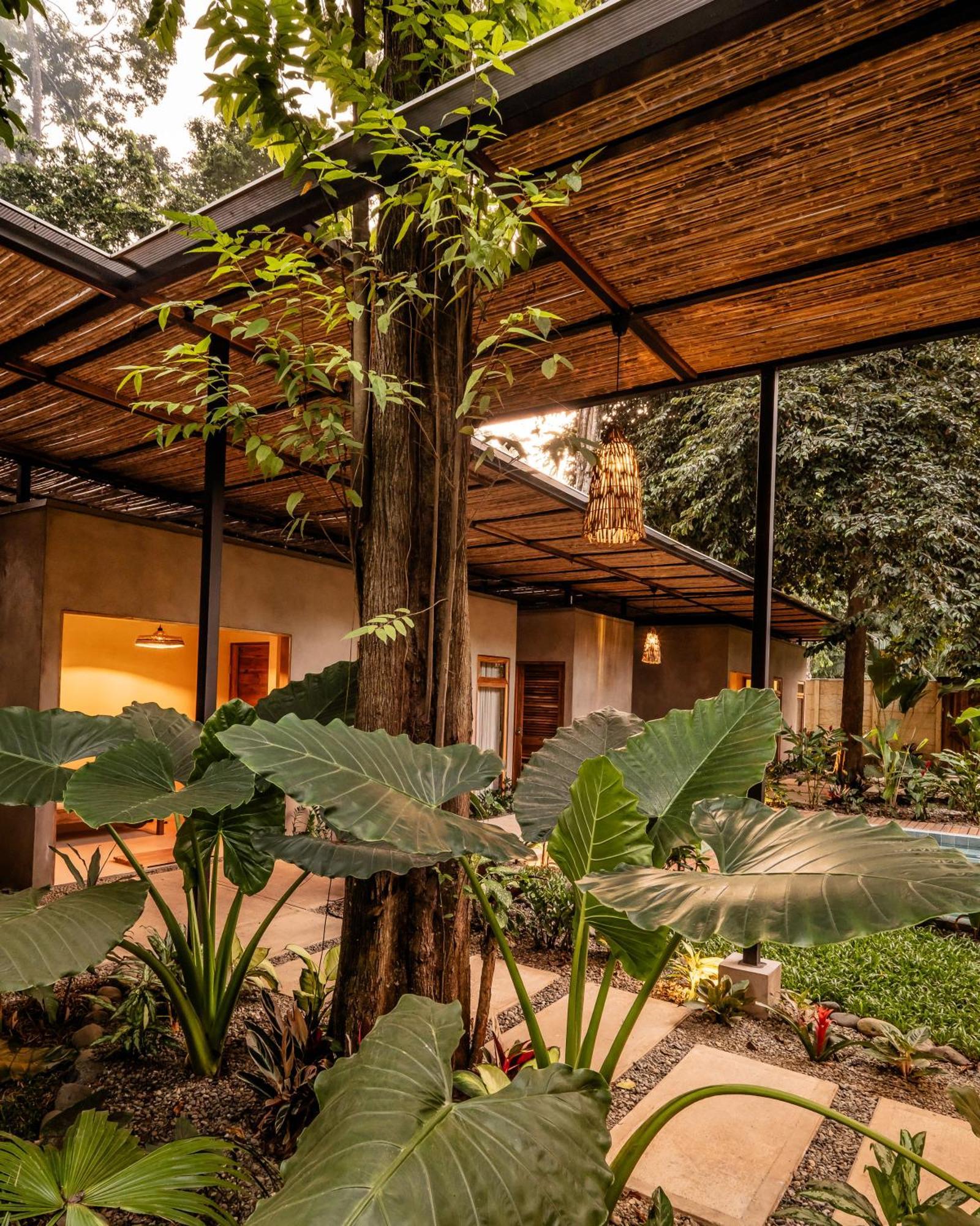 La Bonita Lodge Puerto Viejo de Talamanca Eksteriør bilde